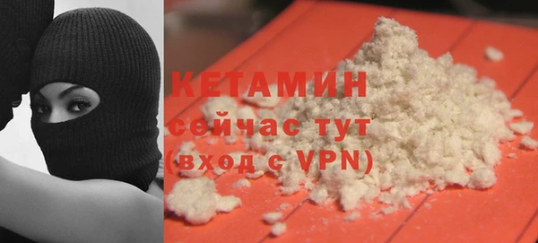 спиды Богданович