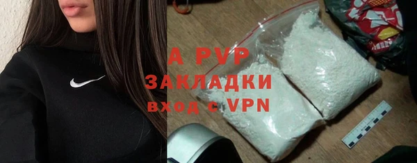 спиды Богданович