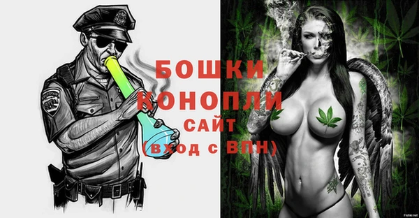 трава Белокуриха