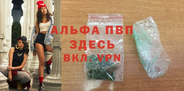 стаф Верея