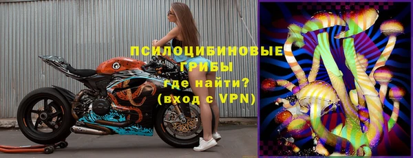 трава Белокуриха