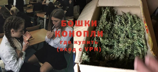 2c-b Бородино