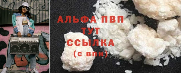 спиды Богданович