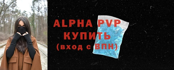 спиды Богданович