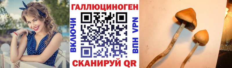 Псилоцибиновые грибы MAGIC MUSHROOMS Верхнеуральск